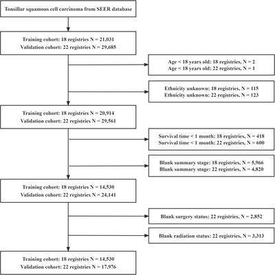 Mortality patterns of patients with tonsillar squamous cell carcinoma: a population-based study